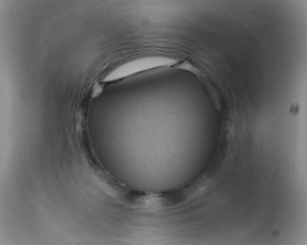 X0000113560219200910091422