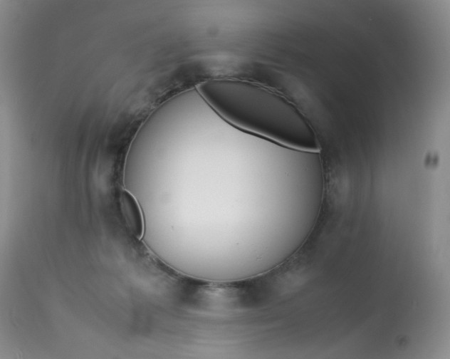 X0000113560221200910091422