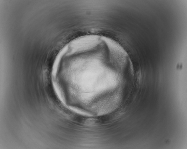 X0000113560222200910091422