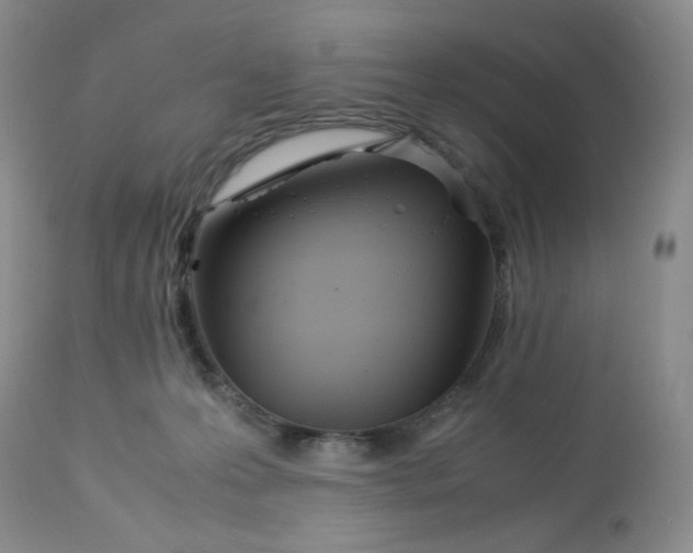 X0000113560223200910091422