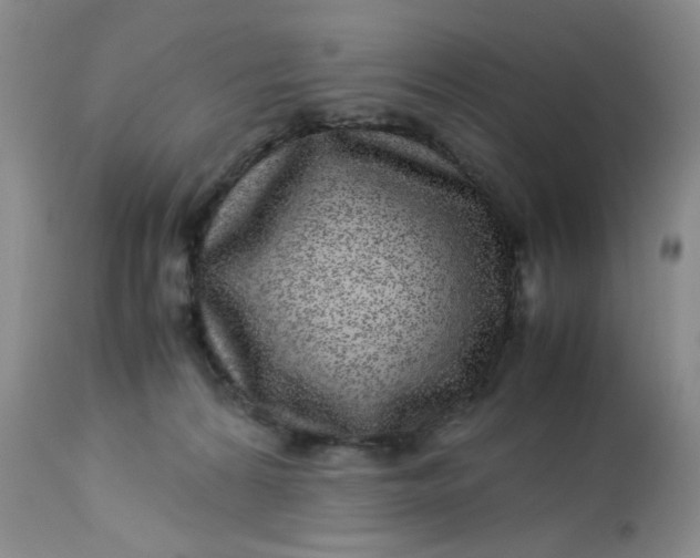 X0000113560224200910091422