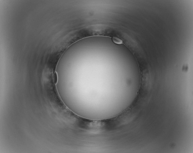 X0000113560225200910091422