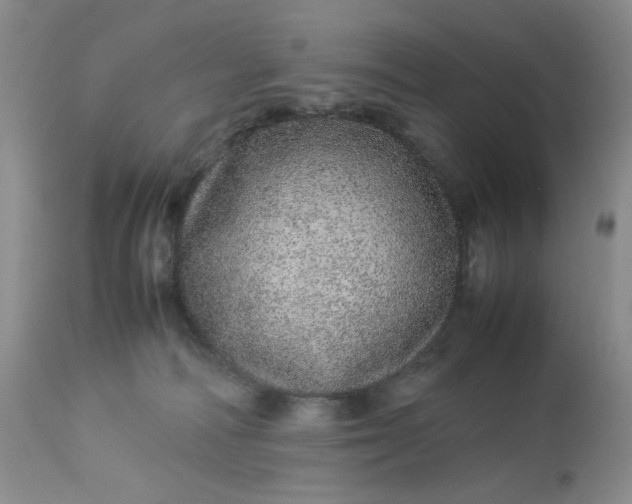 X0000113560226200910091422