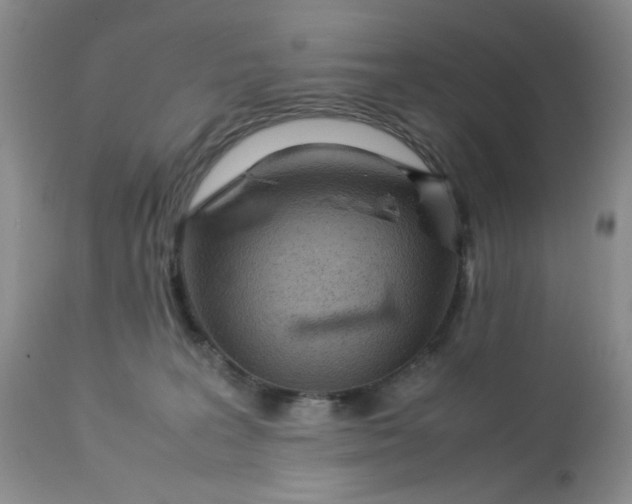 X0000113560227200910091422