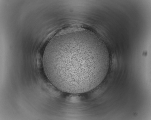 X0000113560228200910091422