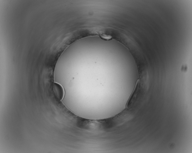 X0000113560229200910091422