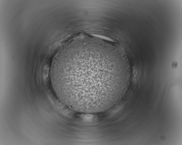 X0000113560230200910091422