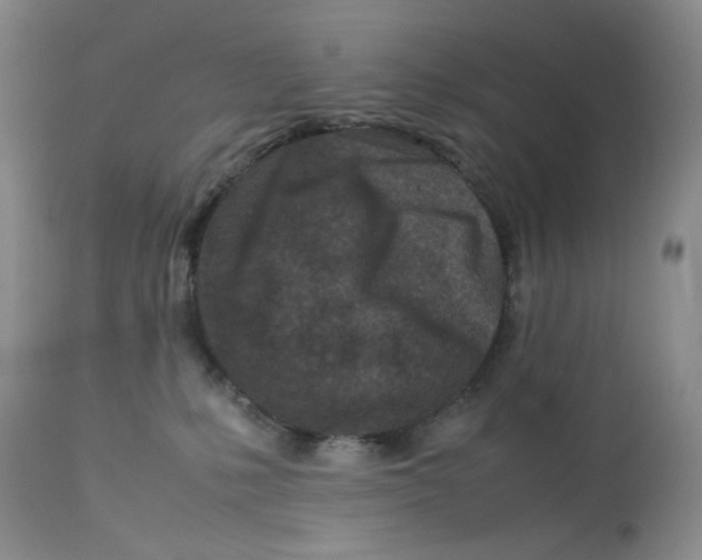 X0000113560231200910091422