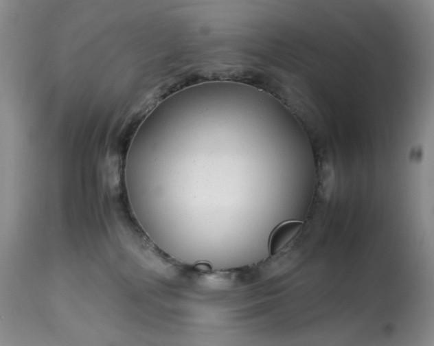 X0000113560232200910091422