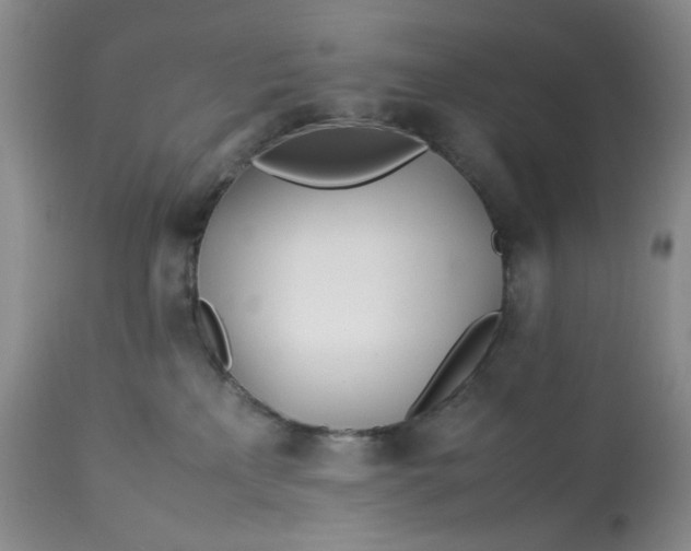 X0000113560233200910091422