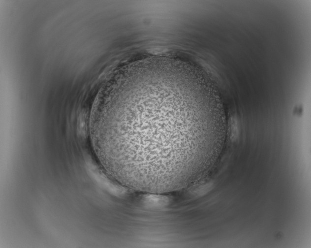 X0000113560234200910091422
