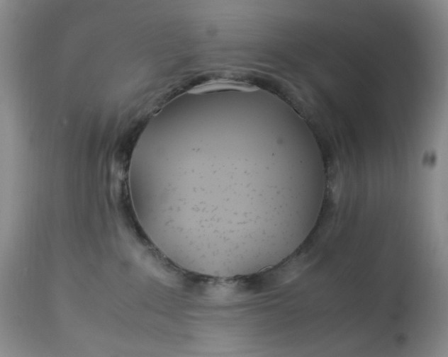 X0000113560235200910091422