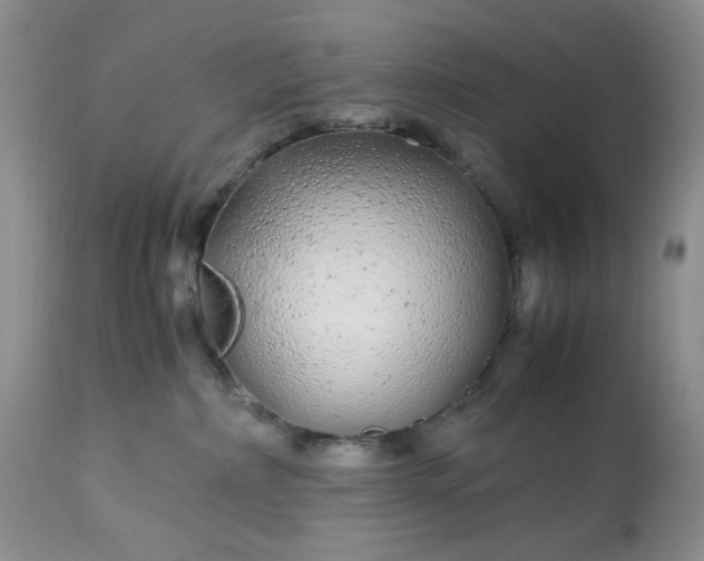 X0000113560236200910091422
