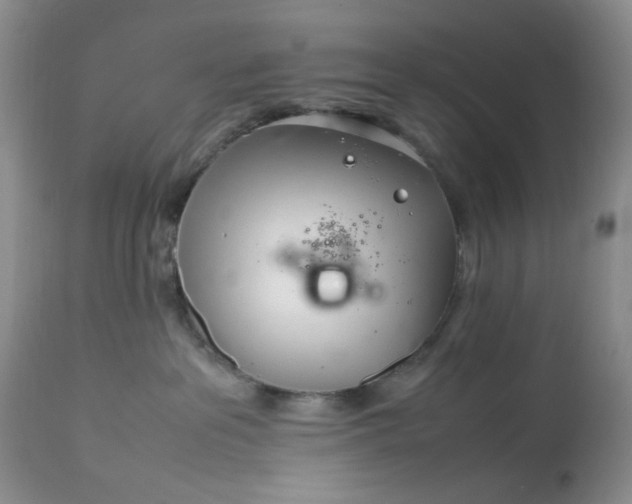 X0000113560237200910091422