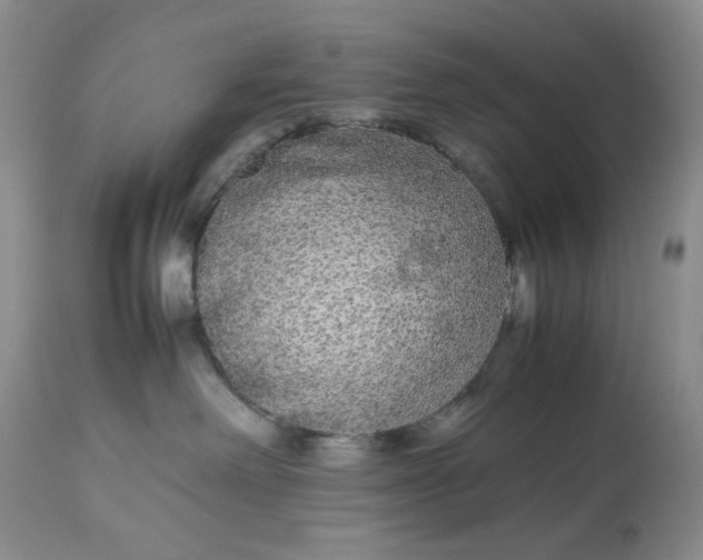 X0000113560238200910091422