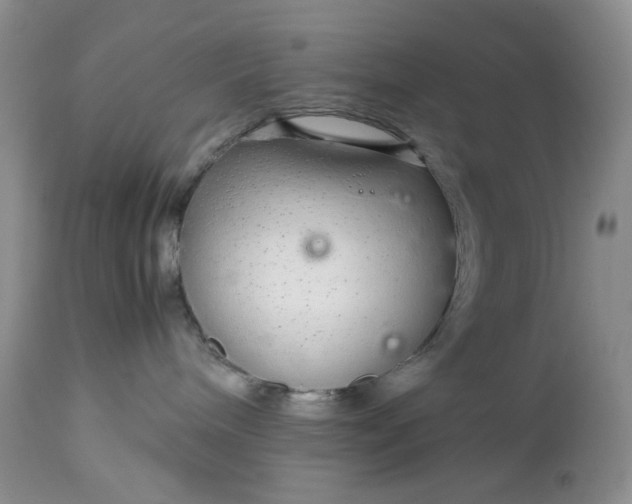 X0000113560240200910091422