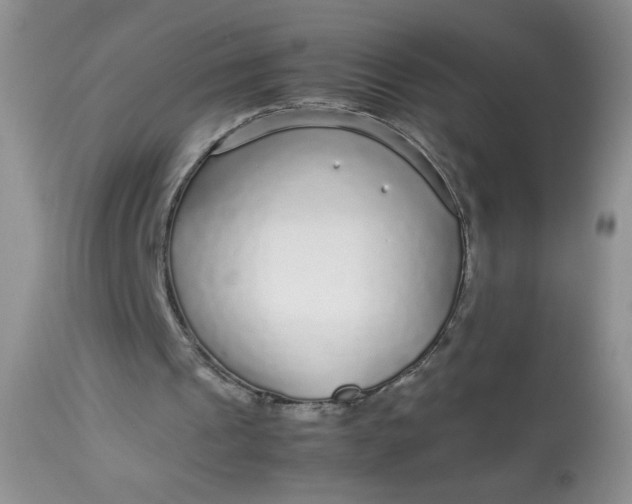 X0000113560241200910091421