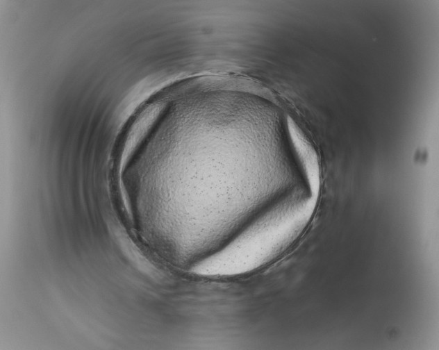 X0000113560242200910091421