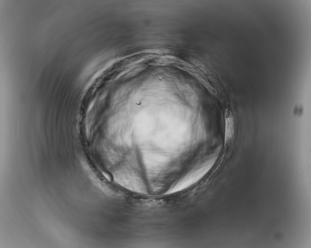 X0000113560243200910091421