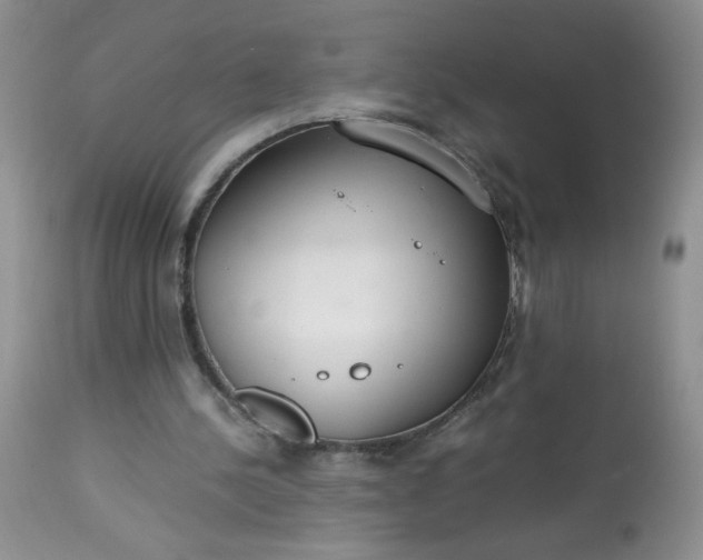 X0000113560244200910091421