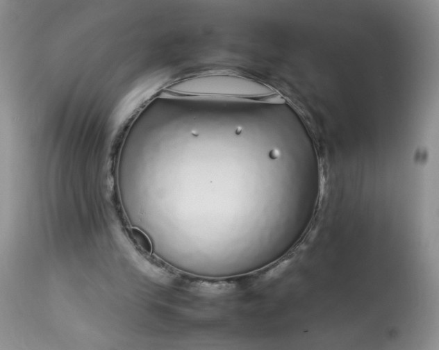 X0000113560245200910091421