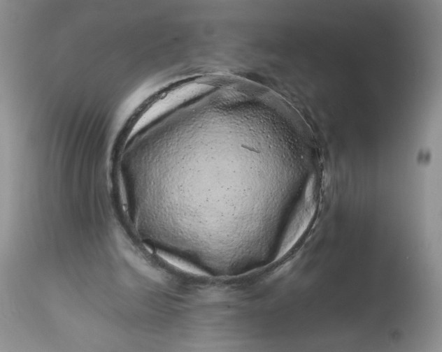 X0000113560246200910091421