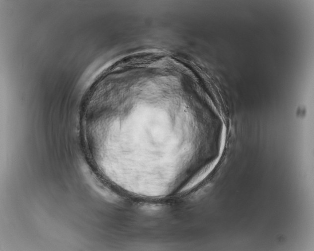 X0000113560247200910091421