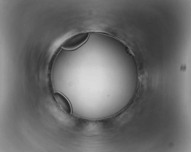 X0000113560248200910091421