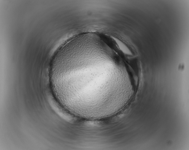 X0000113560250200910091421