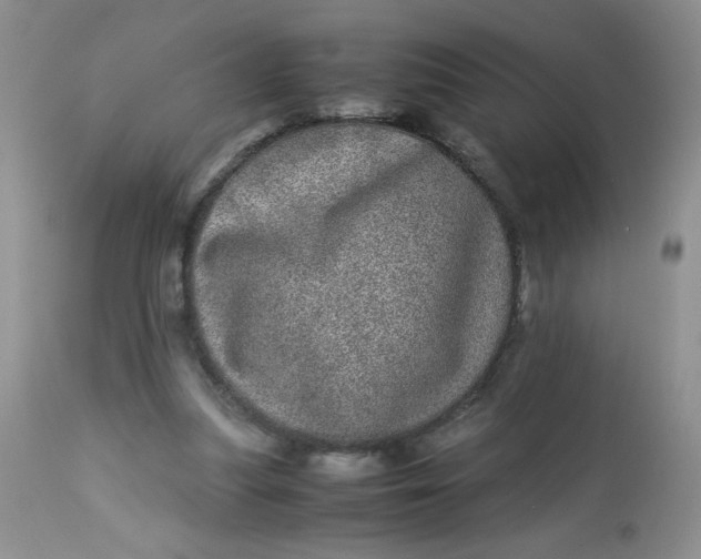 X0000113560251200910091421