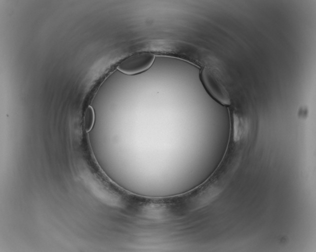 X0000113560252200910091421