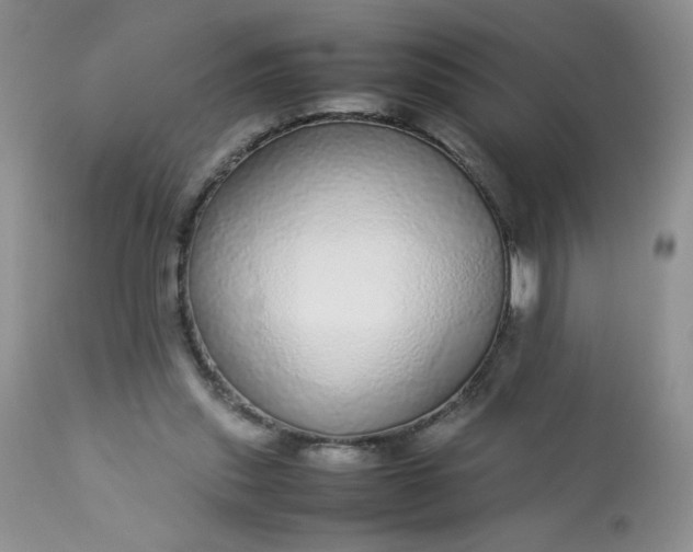X0000113560253200910091421