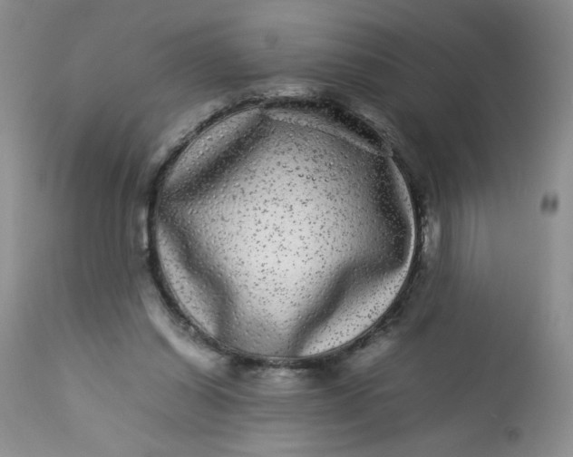 X0000113560254200910091422
