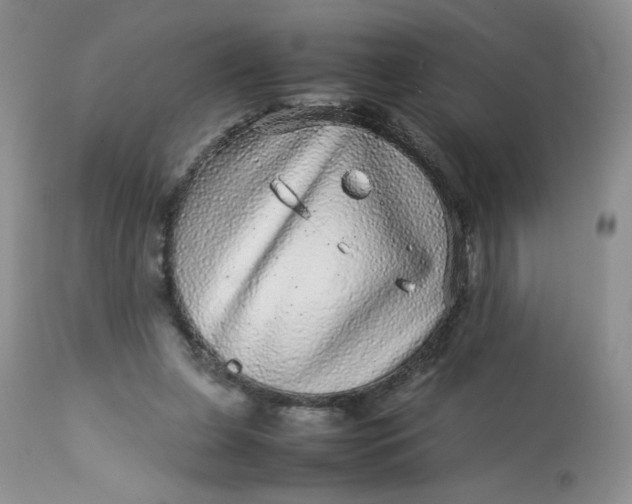 X0000113560255200910091422