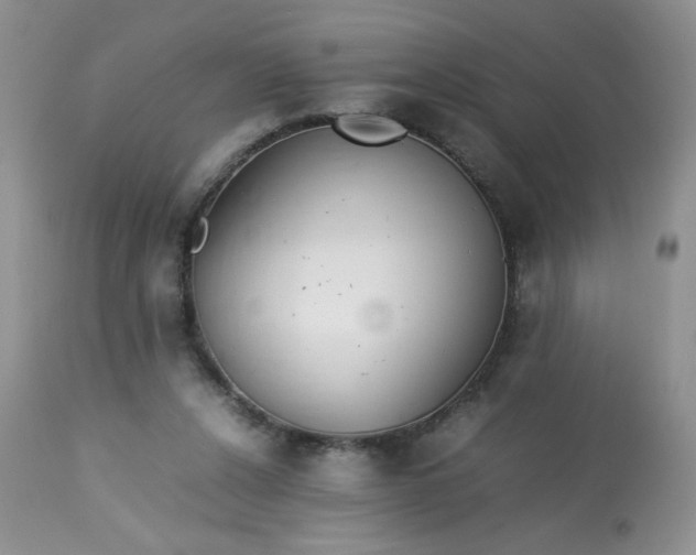 X0000113560256200910091422