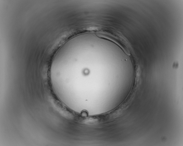 X0000113560257200910091422