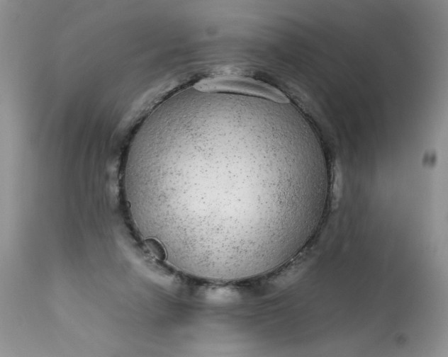 X0000113560258200910091422