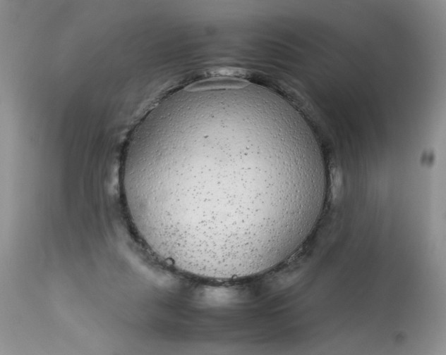 X0000113560259200910091422