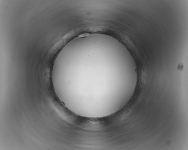 X0000113560260200910091422