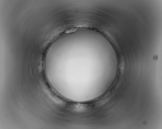 X0000113560261200910091422