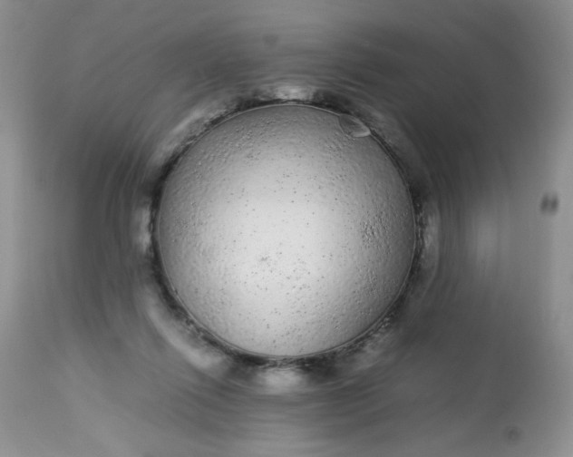 X0000113560262200910091422