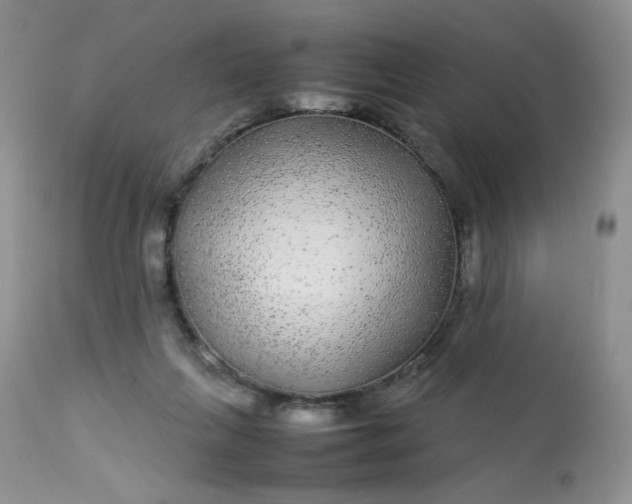X0000113560263200910091422