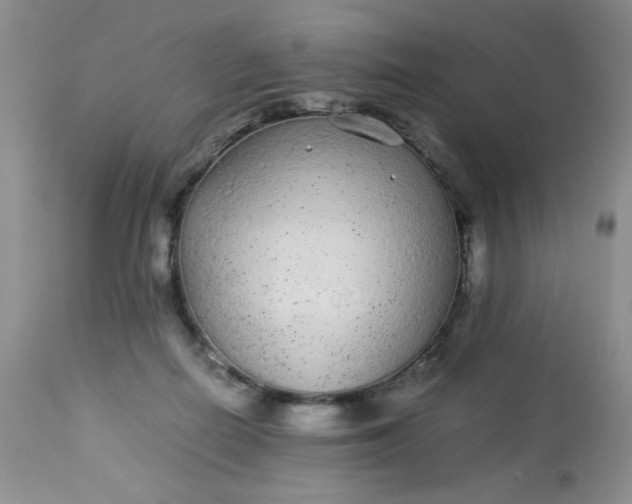 X0000113560266200910091422