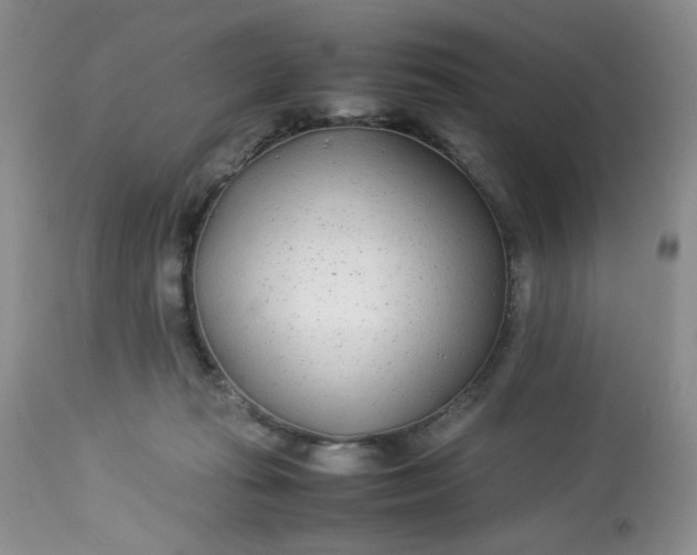 X0000113560269200910091422