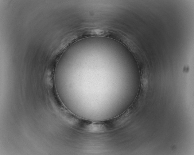 X0000113560270200910091422