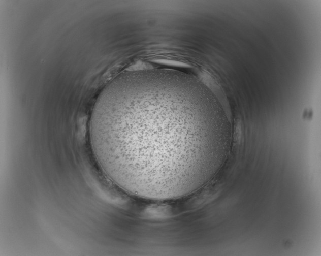 X0000113560271200910091422