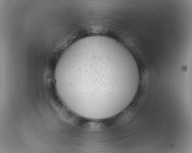 X0000113560272200910091422