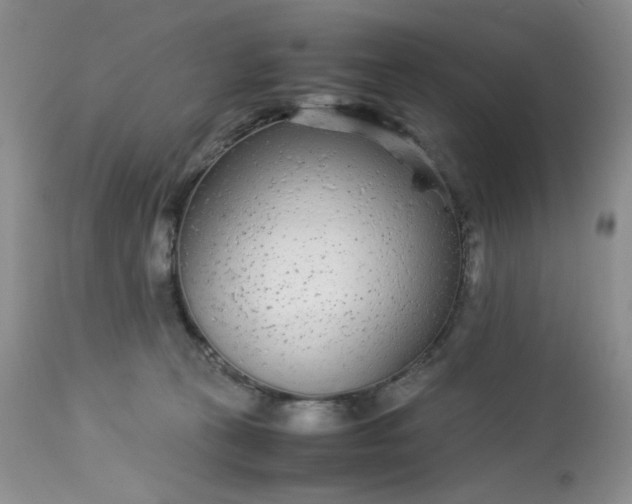 X0000113560273200910091422