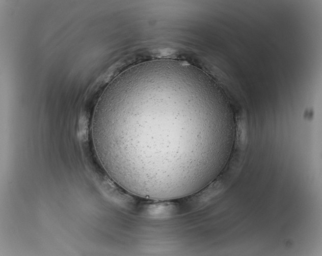 X0000113560274200910091422