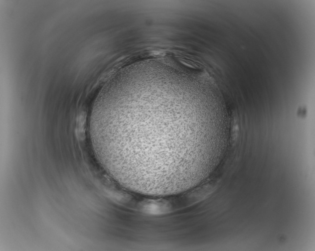 X0000113560275200910091422